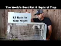 The World s Best Rat Squirrel Trap The Uhlik Repeater part 2 - Mousetrap Monday