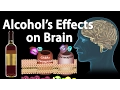 Effects of Alcohol on the Brain Animation Professional version