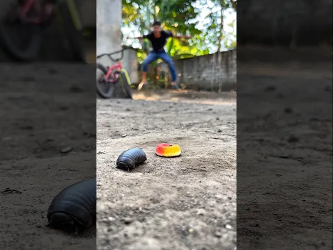 Let's see what happens to this pill millipede after I put this Chupa Chups candy down