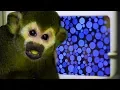 How Colours Are Connected With Our Emotions Earth Science