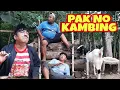 Download Lagu PAK NO KAMBING - ORA MASOK BOSS 2