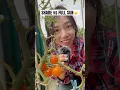 Download Lagu Can Sunlight Make Tomatoes Taste Like Candy?