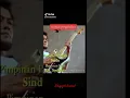 Download Lagu CABIKAN GITAR RHOMA IRAMA, KEREN MANA NIH?