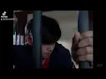 Download Lagu manusia harimau tiktok