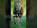 Download Lagu Ye sala jin logon ne bich raste mein sath chhod diya || Attitude Status of WhatsApp