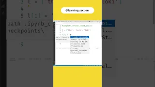 Single items in list - Python Learning Section