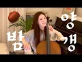 Download Lagu 밤양갱 (Bam Yang Gang)🌰 -비비(Bibi) cello cover
