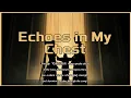 Download Lagu Echoes in My Chest (Erika Frantzve)