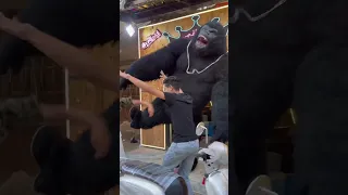 الغوريلا في شوارع مصر اكسبلور ترند Explore اضحكك الغوريلا Music Rap 