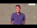 Word Processing Meaning Of Word Processing And Its Basic Features Computer Science SS1