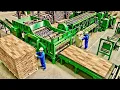 Lagu Inside A Finger-Jointed Wood Factory – How Small Wood Pieces Become Solid Panels (Full Process)