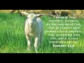 Christian Discipleship Blueprint