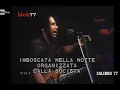 Bob Marley & The Wailers - 1979 Apollo Theater, Harlem, NY - Ambush In The Night - Rare Clip