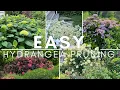 Stress-free hydrangea pruning