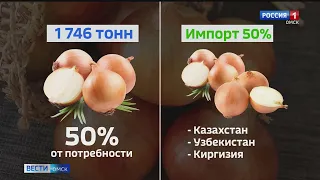 Репчатый лук в Омске с начала года подскочил в цене в два раза