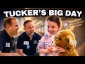 Tucker s Big Day Fluffy Feather Farm visits Penn State Health Golisano Children s Hospital
