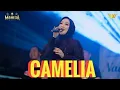 Download Lagu Camelia anisa rahma