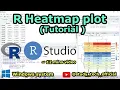 Heatmap by R Beginner Tutorial