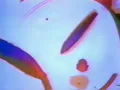 New Order - Blue Monday 83 (Original Music Video)