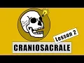 Lagu Il CRANIOSACRALE spiegato semplice...più o meno  - Lesson Two - Vlog 11