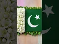 Dil Dil Pakistan|Independence Day Is Coming 💚🤍#haniakiduniya #independenceday #dildilpakistam