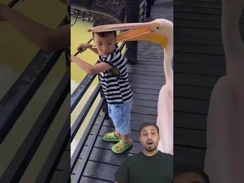 Funny Accidents 5 #shorts