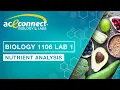 Biology 1106 Lab 1 Nutrient Analysis