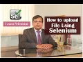 How to upload a file using selenium