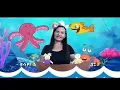 Download Lagu Música: A canoa virou  - tia: Vânia