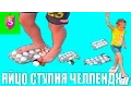 Download Lagu ЯЙЦО СТУПНЯ ЧЕЛЛЕНДЖ. ПОПРОБУЙ НЕ РАЗДАВИТЬ. EGG STEP CHALLENGE!