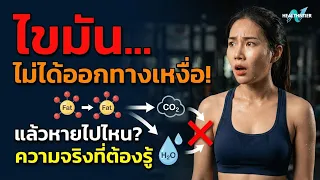 ทำไมเหงื่อออกเยอะจึงไม่แปลว่าไขมันลดลงมาก  และสิ่งที่แท้จริงที่ลดคืออะไร