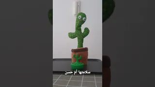 سلامتها أم حسن 