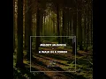 A Walk in a Forest