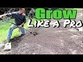 How to Plant a yard and grass seed like a pro - Grow a new lawn overseeding yard sod care tips
