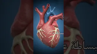 ملخص عمليات صمام القلب ببساطة 