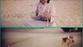 اين الوفاء يااهل الوفاء مقطع يحرك كل قلب ميت خذو من الكلب الوفاء سبحان الله 