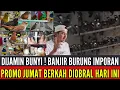 Download Lagu 🔴 DIJAMIN BUNYI !! BANJIR BURUNG IMPORAN SEMUA KITA OBRAL SPESIAL JUMAT BERKAH 0838-7553-6945