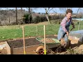 Download Lagu Ini's Moestuin #45 Moestuin opstarten, bietjes zaaien \u0026 kweek voortgang  zoete aardappel
