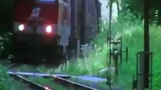 كلب اوفى من بنى ادمين كتير 