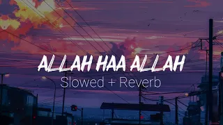 Malana Maulan Siwallah (SLOWED REVERB) - Acoustic