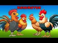 Download Lagu Kuku KUKURUYUK - LAGU AYAM BERKOKOK - Lagu Anak Populer - Nok Gita Channel