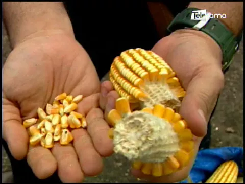 Ecuador Agropecuario 09-04-2018