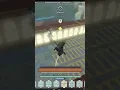 ice age build Deepwoken