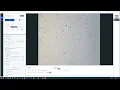 ZEN Core Tiles Shading Correction
