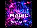 Magic In The Air x C'est La Vie (House)