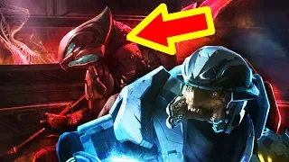 halo lore why are female elites not in gameplay or cutscenes 