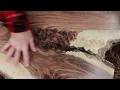Watch as a Fresh Black Walnut log becomes Valuable Lumber