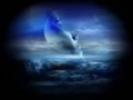 "Your Wildest Dreams" by The Moody Blues (Lyrics included)