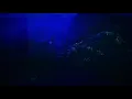 Danny Ocean - Swing | 2021 free live performance