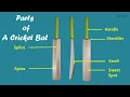 Parts of a Cricket Bat Various Parts of a Cricket Bat Cricket Bat Parts names